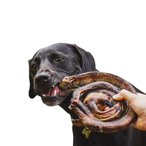 Natuka, Mordedor Natural Vergalho Bovino P/Cães Natuka