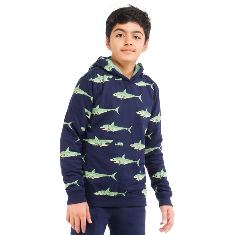 Image of Real Basics Boys Cotton Hooded Sweatshirt(Pack of 1)