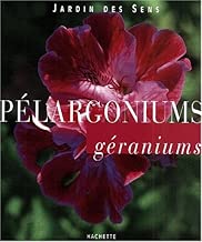 Download Pélargoniums PDF