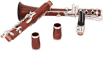 Amazon | クラリネットキット絶妙なレッドウッドボディBbクラリネット