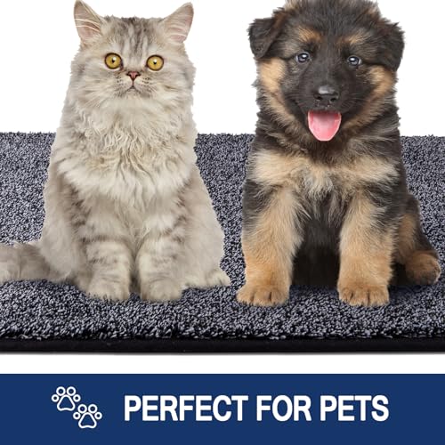 FCSDETAIL Schmutzfangmatte Innen 60 x 90 cm, rutschfeste Maschinenwaschbare Fußmatte, Sauberlaufmatte, Eingangstürmatte mit Wasserabsorbierenden, Fussmatte für Hund, Eingang, Haustür & Flur