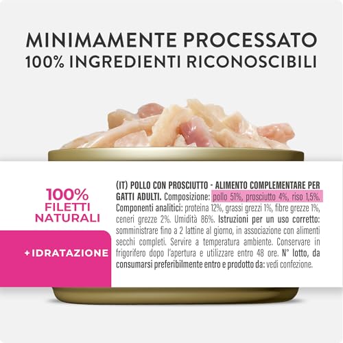 Schesir, Filety z kurczaka z szynką w galaretce, uzupełniająca mokra karma dla kotów, oryginalna receptura, 100% naturalna, 12 puszek po 70 g