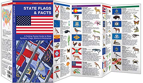 State Flags & Facts: A Folding Pocket Guide to State Flags, Symbols, Mottos & Nicknames (Nature Observation North America) - Image 2