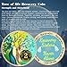 LParkin Recovery Sisters Coin, 2 Year Sobriety Coin, Sobriety Gifts for Women, Tree of Life 2 Year AA Coin, 2 Year Alcoholics Anonymous Medallion