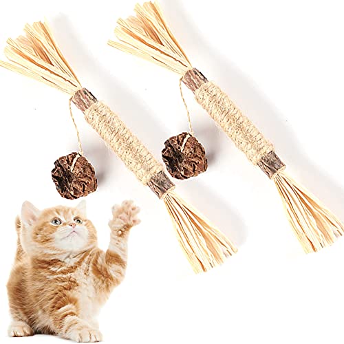 Aucenix Silvervine Kaustäbchen für Katzen, natürliche Matatabi-Kaustäbchen, Katzenspielzeug für die Zahnreinigung der Katze, Katzenminze-Sticks für den Innenbereich von Katzen, Kätzchen Cover