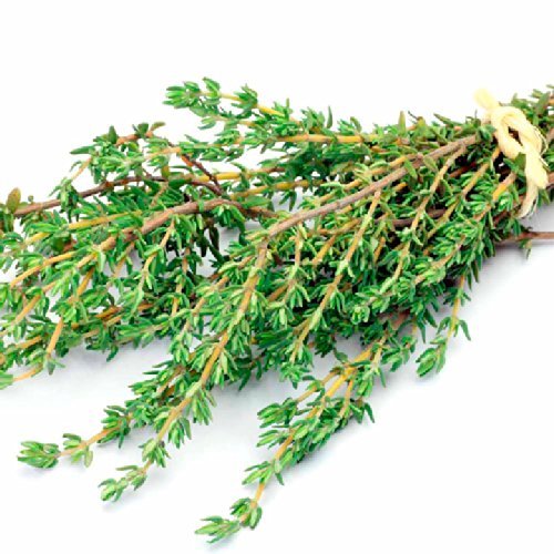 See full amazon price history chart for Creative Farmer Herb Seeds Home Depot - Herb Thyme English Winter Kitchen Garden Pack Creative Farmer Herb Seeds Home Depot - Herb Thyme English Winter Kitchen Garden Pack (B0753LJX9D) Amazon Price History, Amazon Price Tracker