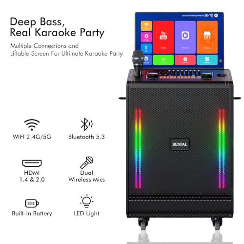High Power Karaoke Machine with Display