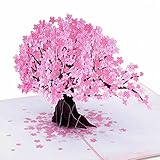 Paper Love 3D Cherry Blossom Pop Up Card, For Birthday, Thank You, Wedding, Memorials, All Occasion or Just Because - 5' x 7' Cover - Includes Envelope and Removable Note Tag