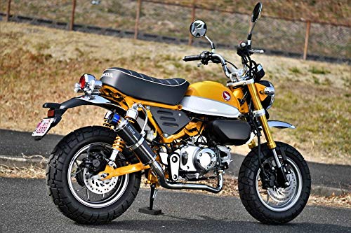 Amazon | ビームスモーターカンパニー(Beams Motor Company) R-EVO