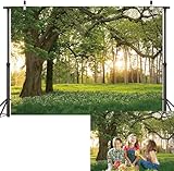 Nature Forest Trees Backdrop Spring Garden Scenery Photography Background Forest Scene Spring Picnic Outdoor Party Decorations Banner Photo Props (82x59inch(7x5FT))