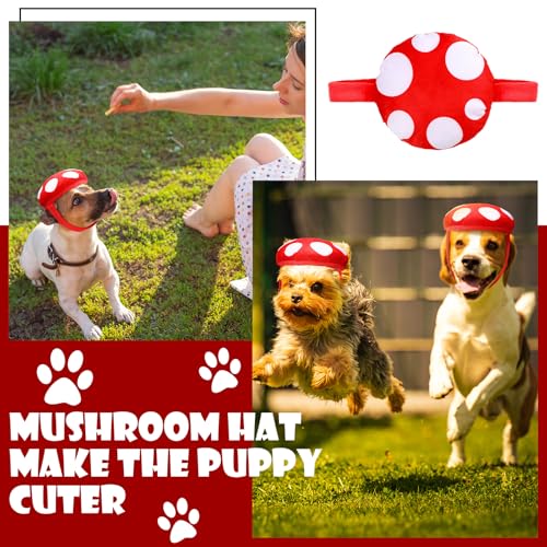 Disfraz de hongo para perros miniatura 4