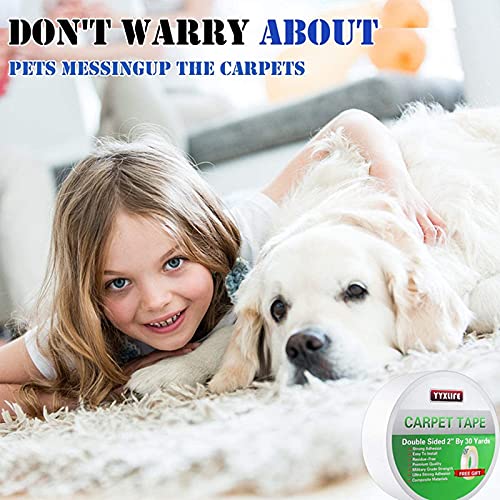 https://m.media-amazon.com/images/I/516YZCc5-OS._SL500_.jpg