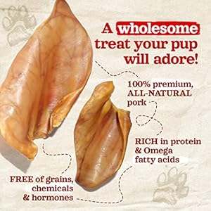 Natural-Farm-Pig-Ears-for-Dogs-8-Pack-One-Ingredient-Natural-Whole-Pigs-Ears-Air-Dried-Long-Lasting-Highly-Digestible-Treats-Great-for-Puppy-and-LargeMedium-Dogs - Cucciolini Doodles   Natural-Farm-Pig-Ears-for-Dogs-8-Pack-One-Ingredient-Natural-Whole-Pigs-Ears-Air-Dried-Long-Lasting-Highly-Digestible-Treats-Great-for-Puppy-and-LargeMedium-Dogs