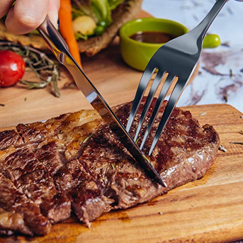 Silverware Set，Massugar 20-Piece Silverware Flatware Cutlery Set, Stainless Steel Utensils Service For 4, Include Knife/Fork/Spoon, Mirror Polished (Silver) #TOP6