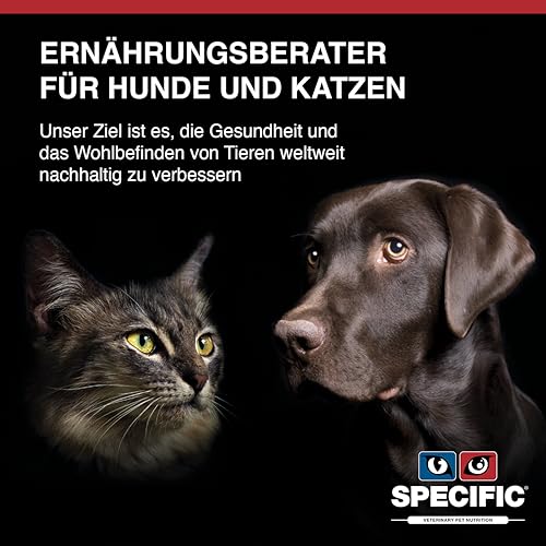 SPECIFIC® Allergen Management Plus (FOD-HY) 400 g - Hypoallergenes Trockenfutter für Katzen - Mit hydrolysiertem Protein - Für Katzen jeden Alters mit Allergien - DECHRA Veterinary Products