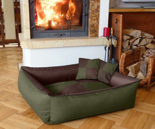 BedDog® 2in1 MAX QUATTRO marrone/verde XL, 100x85