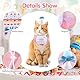 Kunyeah 2-teiliges Haustier-Hut-Schal-Set, niedlich, bestickt, Katze, Bandana, Outfit, Haustier-Schleife, Kegelhut, Katze, Karomuster, Prinzessinnen-Kostüme, Hunde-Lätzchen, Haustier-Partyzubehör,