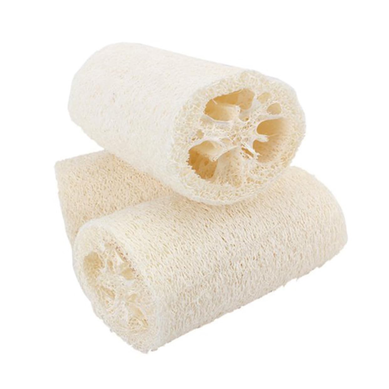 DOITOOL 10stücke Natürliche Luffa Duschschwämme Peeling Körperbürste Für Sanfte Hautreinigung Und Massage Für Bad Und Haushalt Hautfreundlich Und Langlebig