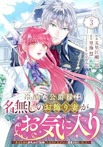 Berry’sFantasy冷酷な公爵様は名無しのお飾り妻がお気に入り～悪女な姉の身代わりで結婚したはずが、気がつくと溺愛されていました～3巻 (Berry's COMICS)