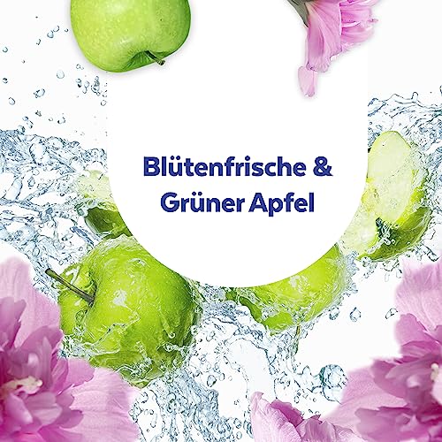 Sagrotan Allzweck-Reinigungstücher Blütenfrische und grüner Apfel, gegen 99,9% der Bakterien, 6er Pack (6 x 60 Stück)
