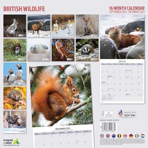 British Wildlife 2025 Calendar, Various - Image 2