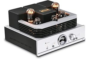 muzishare R100 Tube Amplifier: Experience Audiophile-Grade Sound