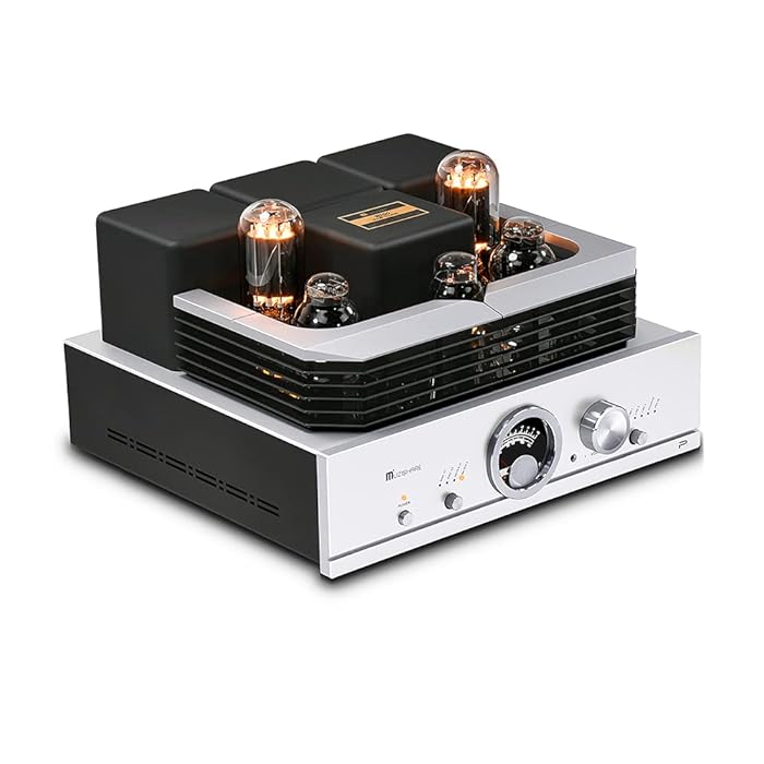 Buy Muzishare R100 300B 805 SingleEnded Class A,an Integrated Tube