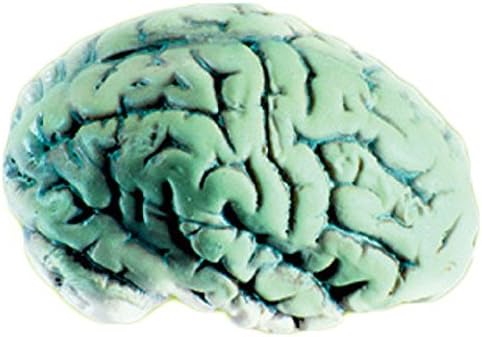 International Loftus Glowing Alien Brain Halloween Decoration Prop Green