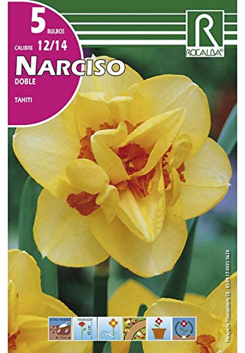 BULBO DE OTOÑO NARCISO DOBLE TAHITI AMARILLO - 5 UD