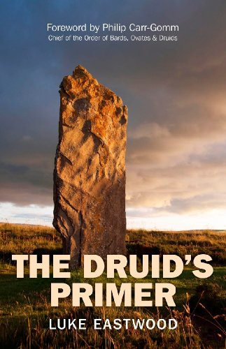 The Druid's Primer (English Edition)