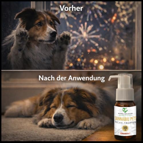 GLOBAL NATUREON® Cannabiu Pets Relax-Tropfen Lachsöl & Hanföl 500mg für Hunde und Katzen aus Samen, Tropfen für Reisen, Tierarztbesuche, Lärm und Fellpflege, Omega 3,6 & 9, 100% Natürlich