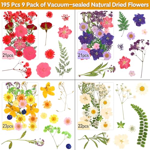 Image of 235 Pcs Pressed Dried Flowers for Resin, Natural Real Dried Pressed Flowers for Crafts, Bulk Dry Flowers for Resin Molds, Candles, DIY Art Jewelry Making with Tweezers Butterfly Stickers Set Decorate