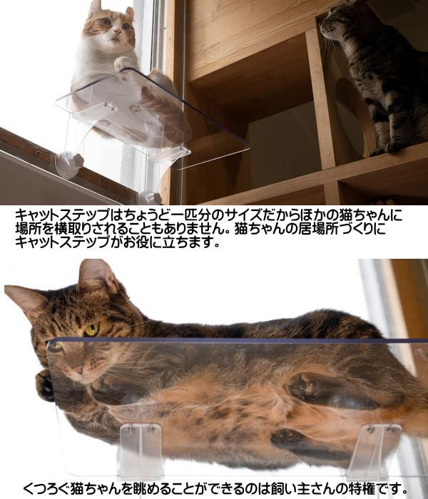 Amazon.co.jp: キャットステップ (窓用 1枚セット) 透明 猫 ペット
