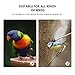 balacoo Bird Shower Basin with Hook for Small Birds Parrot Bath Tub 4.52X2.75X1.18In Easy Installation Bird Bath for Parakeets Finches Canaries Cage Accessories
