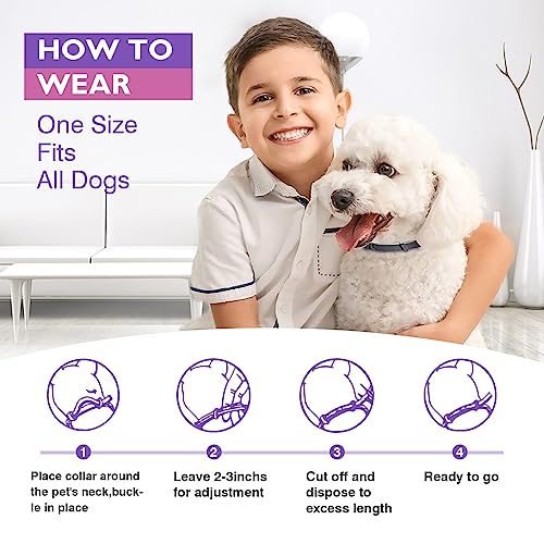 Image of Dog Calming Pheromone Collar Set of 3,Relieves Anxiety,Keeps Dog Quiet,Foldable Collar