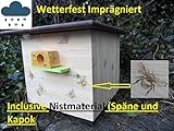 👉Das Dach ist mit 2 hochwertigen Scharnieren verschraubt und mit einem Rasteverschluss gesichert, es kann nach hinten geöffnet werden.