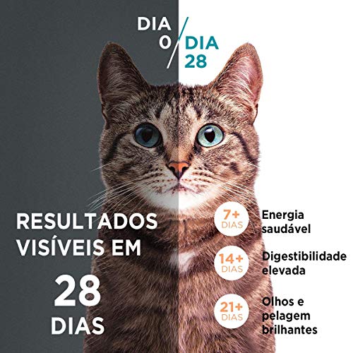 NESTLÉ PURINA ONE Ração Seca para gatos filhotes todas as raças Frango e Carne 500g