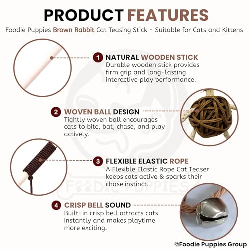 Image of Foodie Puppies Interactive Wooden Teaser Stick with Funny Animal Attachments - (Brown Rabbit) | Suitable for Cats and Kittens | Indoor and Outdoor, Play & Exercise (Size: 40cm)