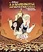 Jim Henson's Labyrinth: A Discovery Adventure
