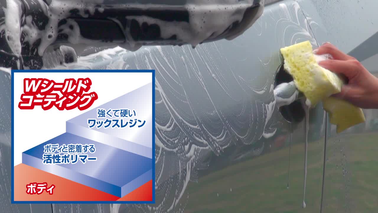 Amazon | ソフト99(SOFT99) カーシャンプー 激防水耐久シャンプー