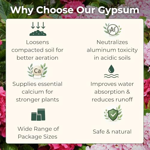Image of Gypsum for Soil - Calcium for Plants - Gypsum Fertilizer for Gardening, Lawn & Vegetables - Calcium for Garden (1 /2 qt. - 1 lb.)