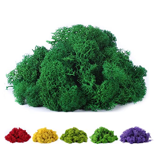 Fake Moss Preserved Reindeer Moss 3.5 OZ for Potted Plants, Arts and Crafts, Terrariums, Wall Decor, Centerpieces, Fairy Gardens, Wedding, Floral Project (Emerald Green)