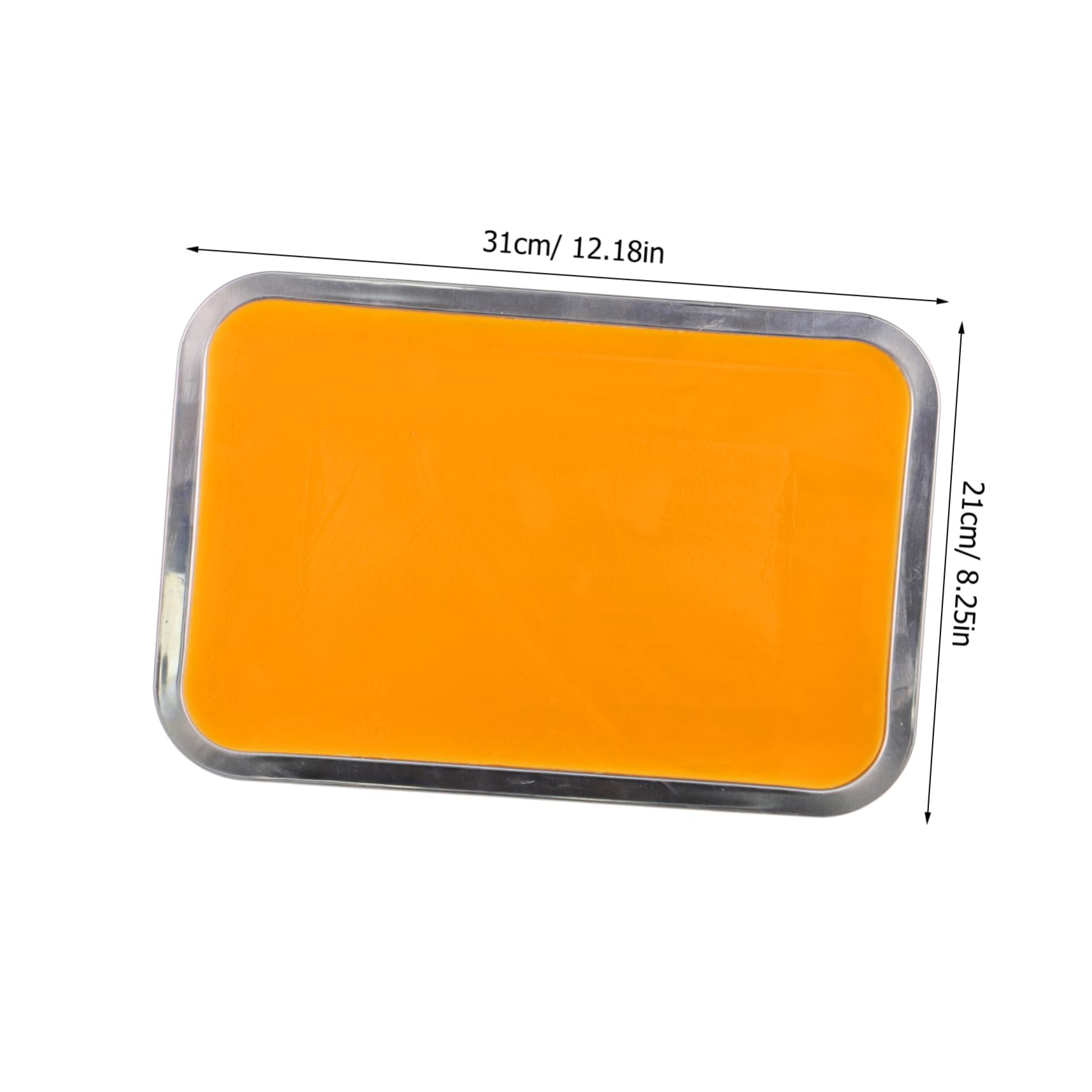 SOLUSTRE 21cm x 31cm Metal Lab Tray Wax Dissection Tray Stainless Steel Wax Plate Bulk Dissection Pans