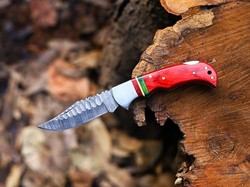 Babu Butt & CO Damascus Steel Folding Pocket Knife, Red Wood Handle with Green Accent, Black Leather Sheath