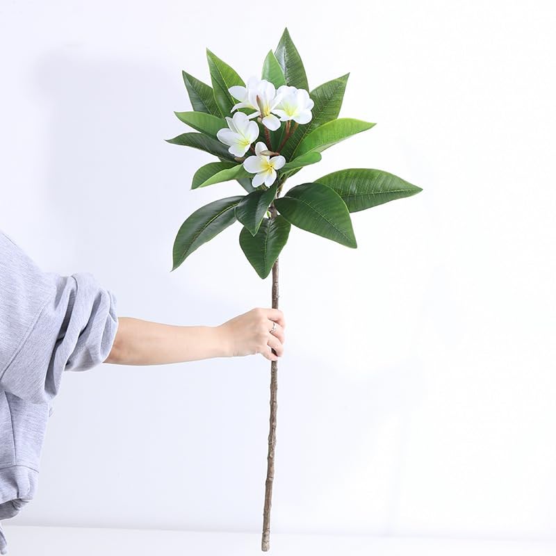 XIYUAN 35.5 Inch Artificial Flowers Artificial Frangipani Flower 2 Stems Lifelike Real Touch Artificial Plumeria Flowers for Home Party Wedding Bouquet Home Decoration (White) - Image 3