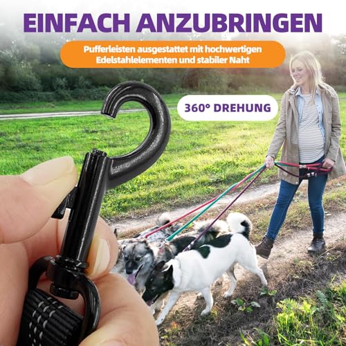 Elastische Hundeleine Ruckdämpfer für Hunde Leine - Nylon-Kurzleine mit Reflektorgarn, Dämpfung beim Fahrradfahren, für mittlere und große Hunde (2.5 * 42cm)