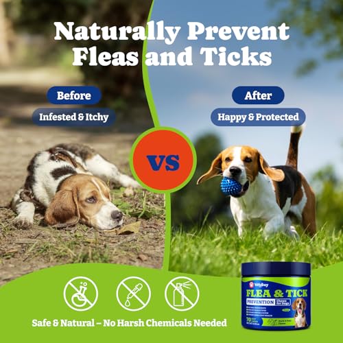 Image of Flea and Tick Prevention for Dogs Chewable - 70 Soft Chews, Duck & Pear Flavor - Dog Flea and Tick Treatment Chewable, Natural Defense- Dog Immune Support Supplement