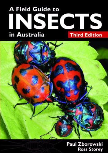 A field guide to insects in Australia.: 9781877069659: Amazon.com: Books