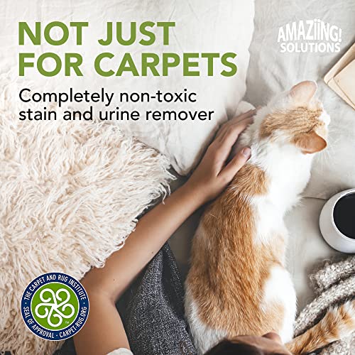 Image of Pet Stain and Odor Remover - Enzyme Cleaner, Pet Urine Odor Eliminator Refill - Floor & Carpet Cleaner, Pet Deodorizers For Home, Fabric Freshener W /Fresh, Clean Scent, 1 Gallon