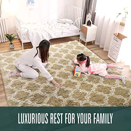 image for Noahas 4' x 6' Soft Area Rugs for Bedroom Living Room Shaggy Patterned